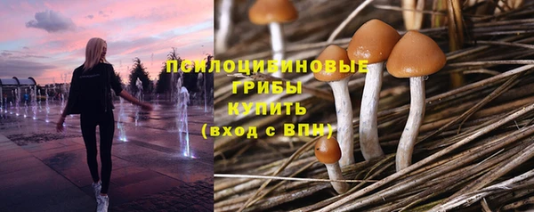 spice Нефтегорск