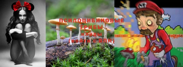 альфа пвп Нея